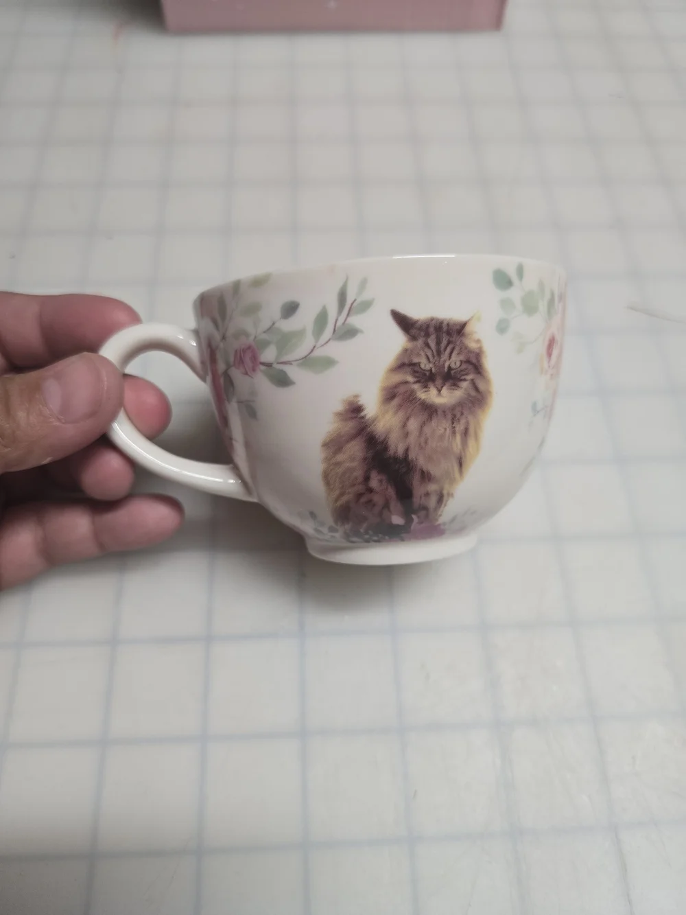 Delores Umbridge Cat Cup and Saucer Set